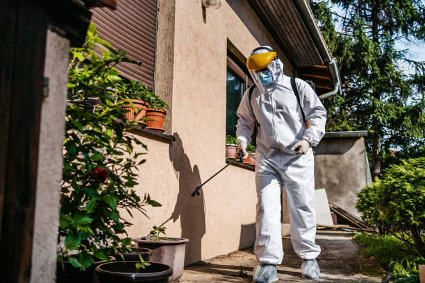 Best Pest Removal Services  in Gilbert, IA