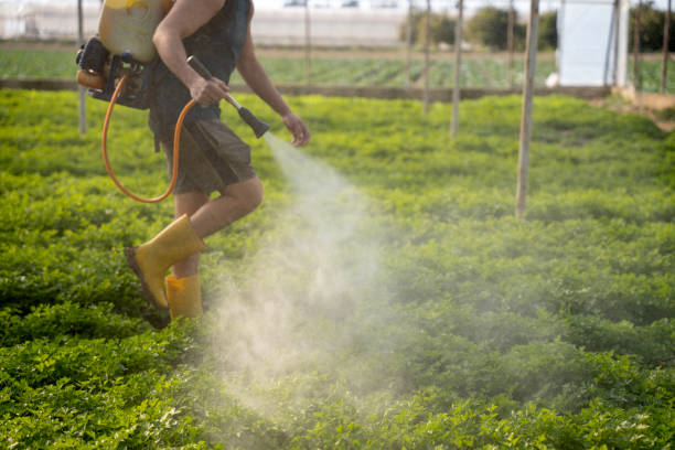 Best Wildlife Control Services  in Gilbert, IA