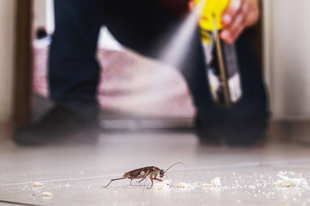 Best Emergency Pest Control  in Gilbert, IA