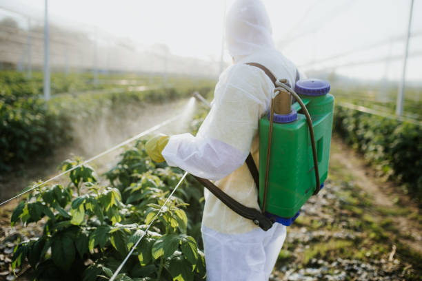 Best Flea Control Services  in Gilbert, IA